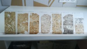 Lames minces micromorphologiques pour le Centre archéologique européen de Bibracte
