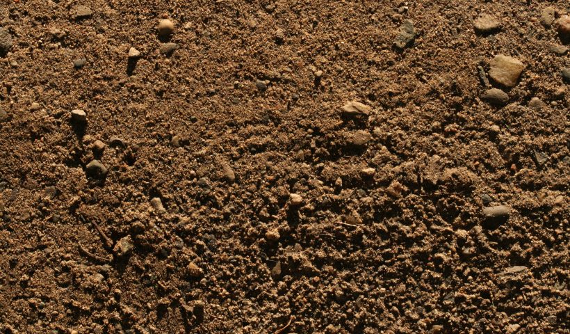 soil
